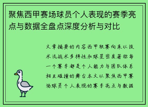聚焦西甲赛场球员个人表现的赛季亮点与数据全盘点深度分析与对比
